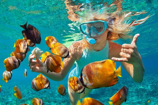 1 Hour Private Snorkeling Activity In Montego Bay - Key points to know