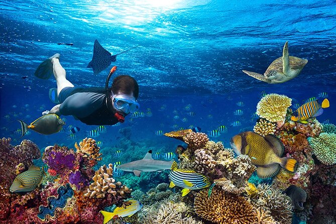 1 Hour Private Snorkeling Activity In Montego Bay - Reaching the Montego Bay beach by private vehicle