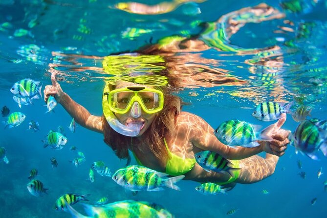1 Hour Private Snorkeling Activity In Montego Bay - Why the private format matters at $110