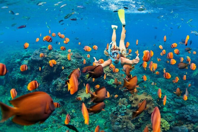 1 Hour Private Snorkeling Activity In Montego Bay - What the customer service adds