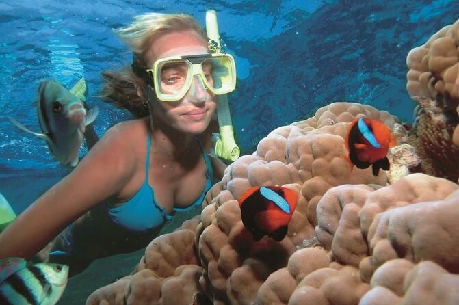 1 Hour Private Snorkeling Activity In Montego Bay - Who will get the most from this short outing