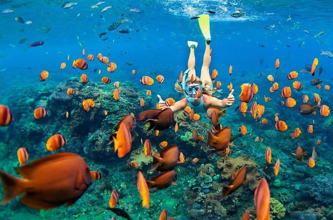 1 Hour Private Snorkeling Activity In Montego Bay - Practical planning before you book
