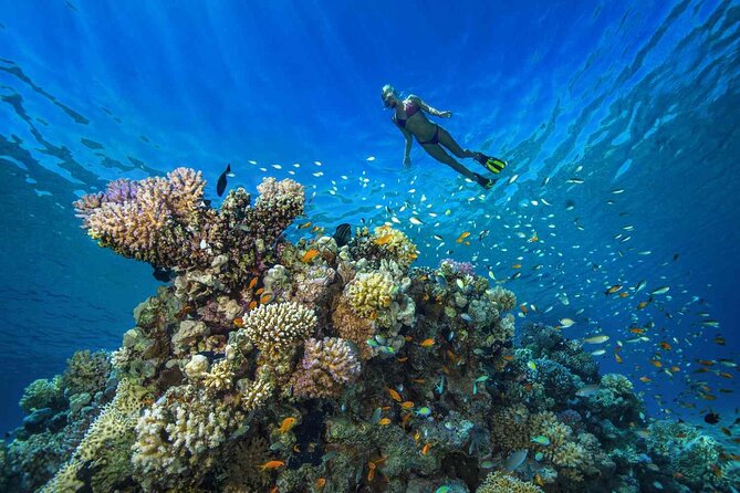1 Hour Private Snorkeling Activity In Montego Bay - Gear and instructions before you enter the water