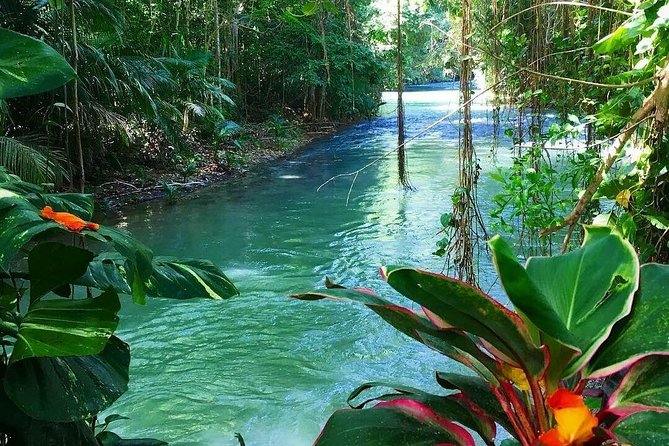 #1 Martha brea bamboo rafting - A quiet side of Jamaica on the Martha Brae