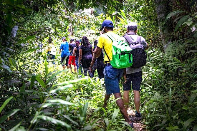 4-Hours Bike, Hike & Waterfall Tour in Blue Mountain with Lunch and Pick Up - Key points to know before you book