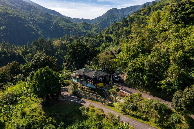 4-Hours Bike, Hike & Waterfall Tour in Blue Mountain with Lunch and Pick Up - The downhill bicycle ride changes the pace