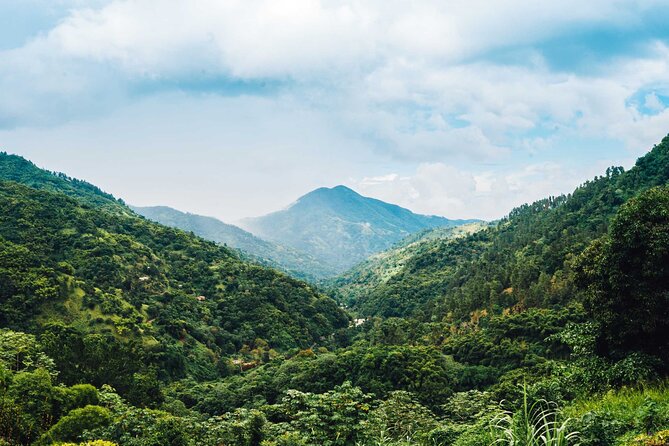 4-Hours Bike, Hike & Waterfall Tour in Blue Mountain with Lunch and Pick Up - Ending at a secluded waterfall