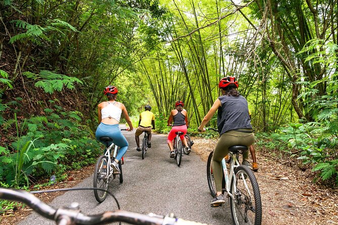 4-Hours Bike, Hike & Waterfall Tour in Blue Mountain with Lunch and Pick Up - Who should book this four-hour outing