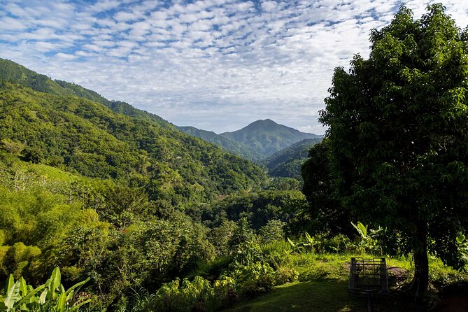 4-Hours Bike, Hike & Waterfall Tour in Blue Mountain with Lunch and Pick Up - Price, refunds, and weather concerns
