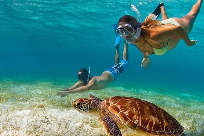 Adventurous-Snorkeling With Sightseeing of Montego Bay - Key Points Before You Book