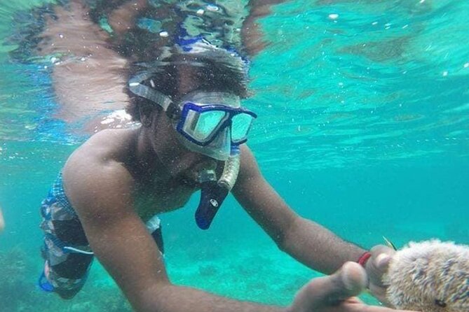 Adventurous-Snorkeling With Sightseeing of Montego Bay - Starting at a White-Sand Beach