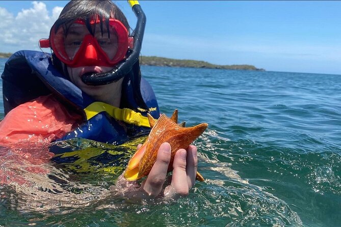 Adventurous-Snorkeling With Sightseeing of Montego Bay - Adding Jerk Food, Drinks, or Local Flavors