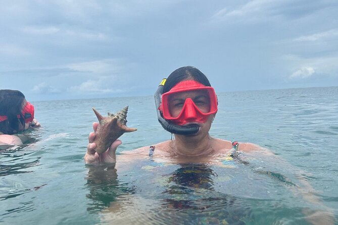 Adventurous-Snorkeling With Sightseeing of Montego Bay - Private Transport and Communication Tips