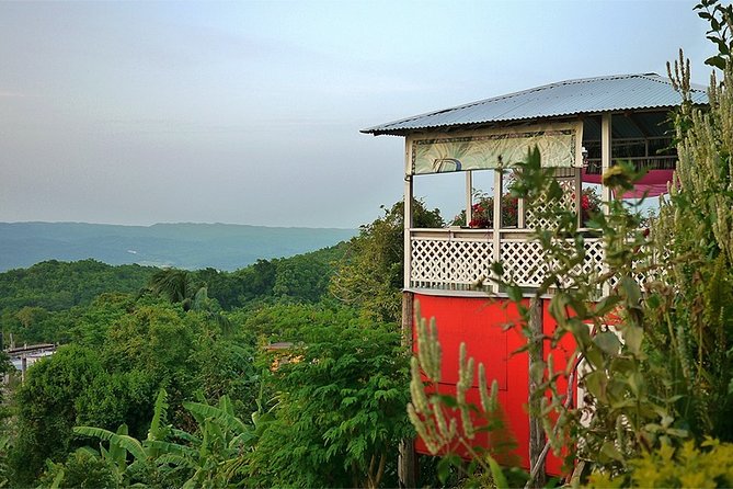 Ahhh Ras Natango Gallery and Garden Private Transfer - The gallery and the people behind it