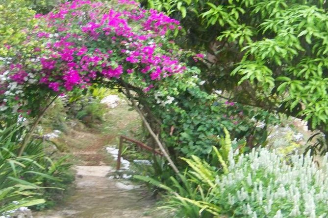 Ahhh Ras Natango Gallery and Garden Private Transfer - Ahhh…Treasures and handmade souvenirs