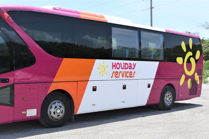 Airport Shuttle from Montego Bay (MBJ) to Hotel - Longer routes to Negril, Ocho Rios, and beyond