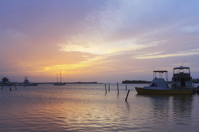 An Evening on the Lagoon: Martha Rafting, Luminous Lagoon and Falmouth Highlight - Lunch, music, and a Jamaican-style beach evening