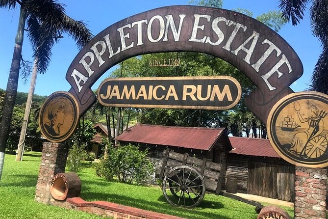 Appleton Estate Rum Factory And YS Falls Inclusive Tours From Montego Bay - Appleton Estate and the route from cane to rum
