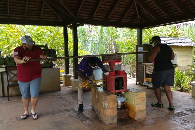 Appleton Estate Rum Tour and Pelican Bar Customize Tour - Appleton Estate and Jamaica’s rum tradition