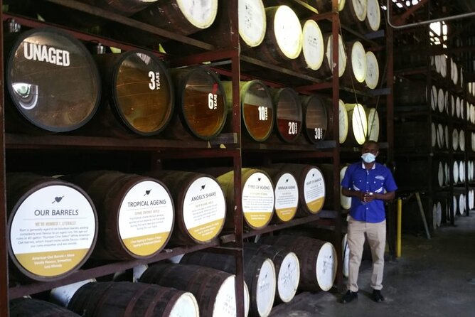Appleton Estate Rum Tour and Pelican Bar Customize Tour - What the private vehicle adds