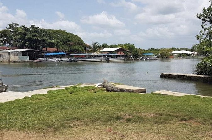 Appleton Estate Rum, YS Falls, Black River Safari / Floyd's Pelican Bar Tour - Floyd’s Pelican Bar: the most unusual stop