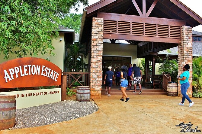 Appleton Estate, Ys Falls and Black River Safari Private Tour - Black River Safari: one hour on the water