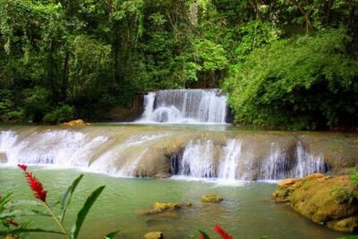 Appleton Estate, Ys Falls and Black River Safari Private Tour