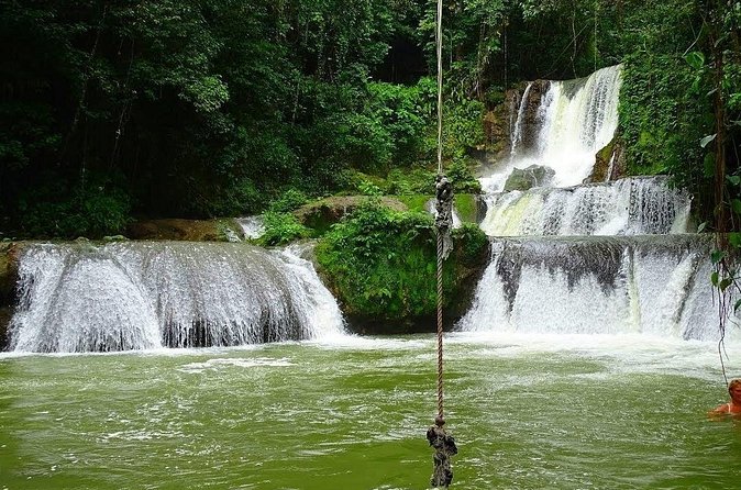 Appleton Estate, Ys Falls and Black River Safari Private Tour - Practical details that can affect your decision