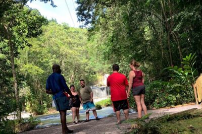 Appleton estate,YS Falls,Black River Safari,Pelican Bar(any 3of4)