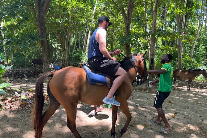 ATV, Bamboo Rafting, Horseback Ride From Montego Bay- Private - What the private format is worth