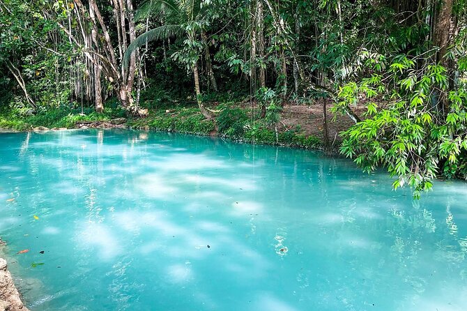 ATV Ride, Spanish Bridge, Blue Hole & Secret Falls-Private Tour - A Jamaican lunch stop at Linda’s