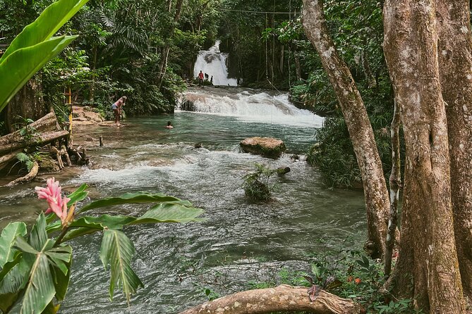 ATV Ride, Spanish Bridge, Blue Hole & Secret Falls-Private Tour - The guide and the feel of the day