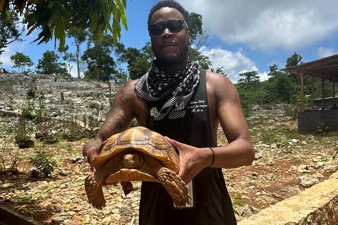 ATV Tour from Montego Bay with private transportation - Stops for photos, animals, and mountain views