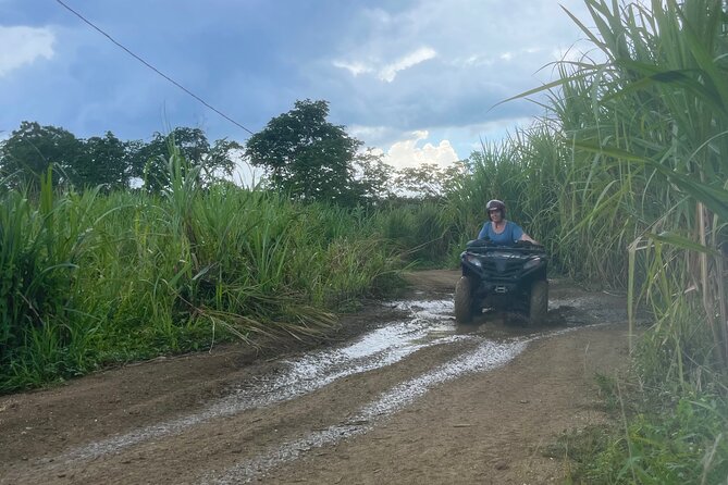 ATV, Zipline, Horseback, Bamboo Rafting and Rick’s Cafe - Horseback riding adds a slower rhythm