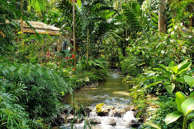 Bamboo rafting and Horseback ridding - Ocho Rios through Fern Gully and local stops
