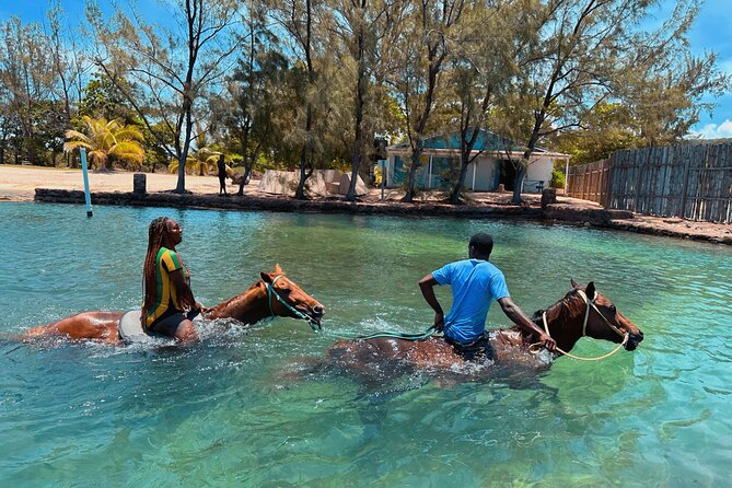 Bamboo Rafting & Horseback Ride n Swim Guided Tour In Montego Bay - What the $145 price really covers