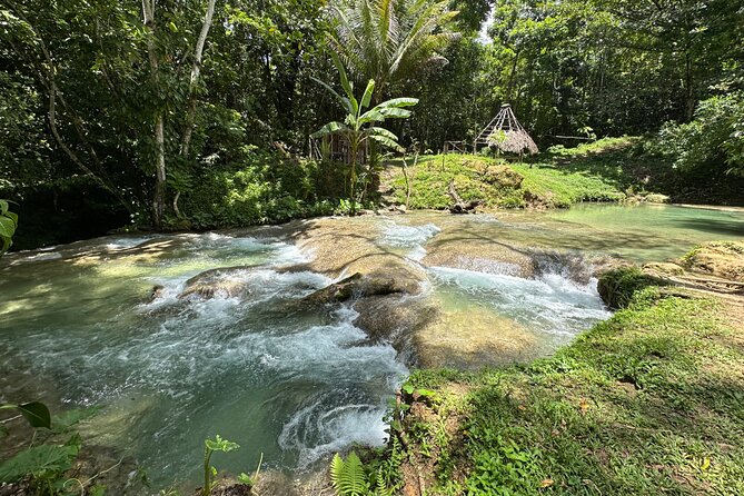Benta River & Falls Private Tour From Montego Bay - Rope swing, caves, and a possible cliff jump