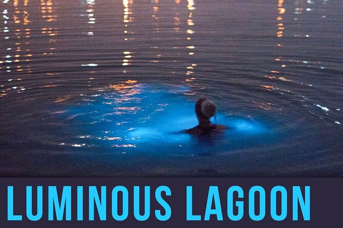 Bioluminescence Lagoon Tour from Montego Bay with Pick Up - What $105 buys you