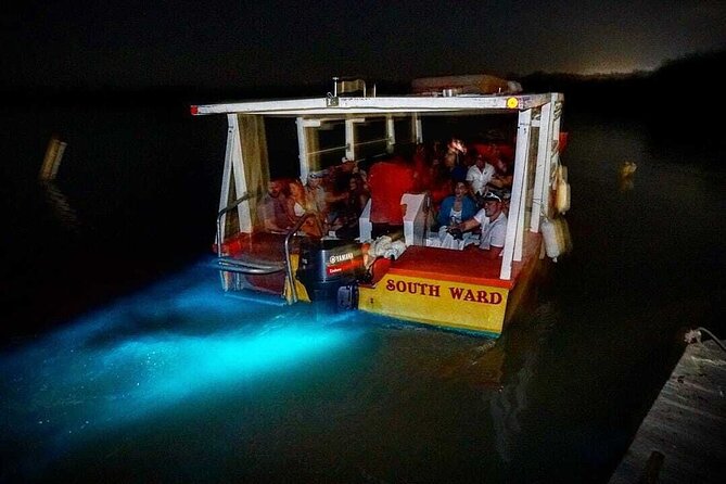 Bioluminescence Lagoon Tour from Montego Bay with Pick Up - The 30-minute cruise across glowing water