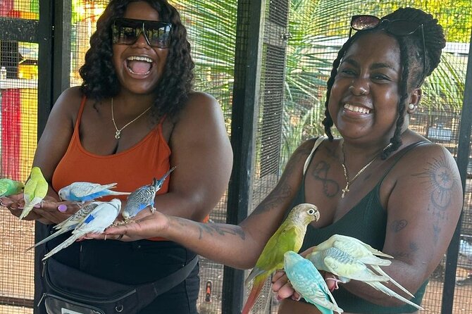 Bird Sanctuary and animal farm Day Tour - A short outing with a clear rhythm