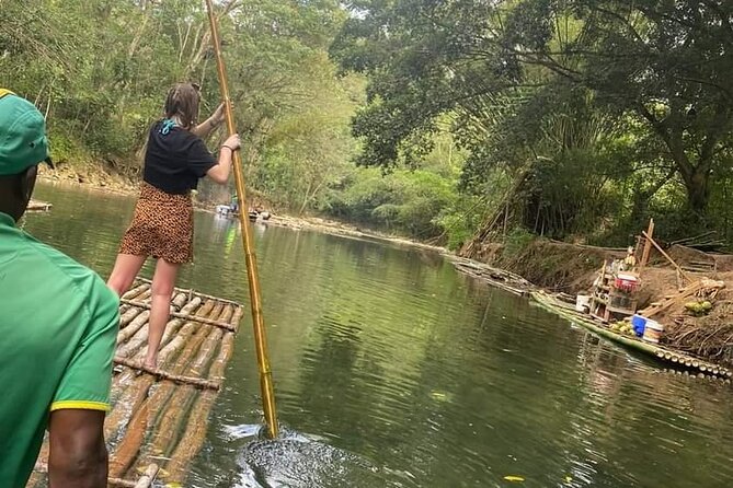Bird Sanctuary and/or Lethe Bamboo Rafting from Montego Bay - Rocklands Sanctuary and Jamaica’s hummingbirds