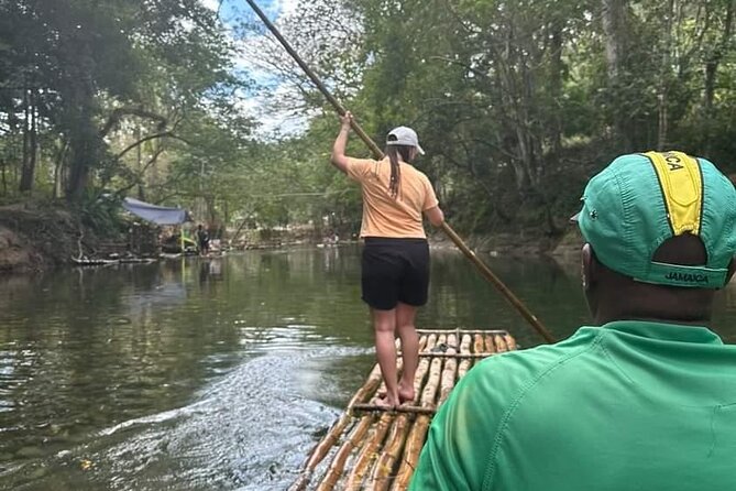 Bird Sanctuary and/or Lethe Bamboo Rafting from Montego Bay - What the bird sanctuary visit feels like