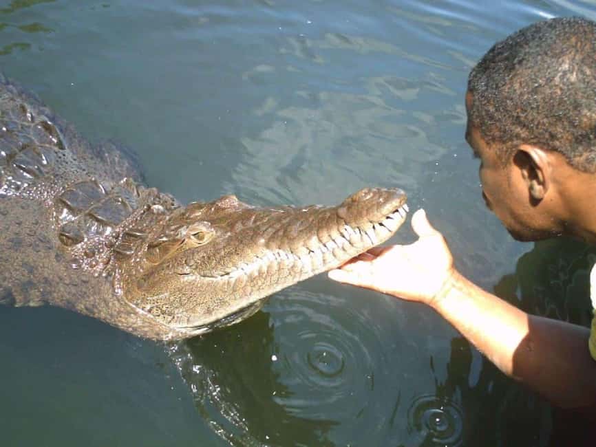 Black River Safari and Ys Falls Tour and Transportation - Cruising the Black River for crocodiles and birds
