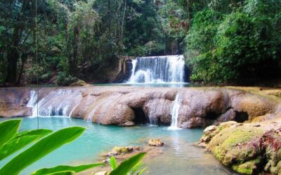 Black River Safari and Ys Falls Tour and Transportation