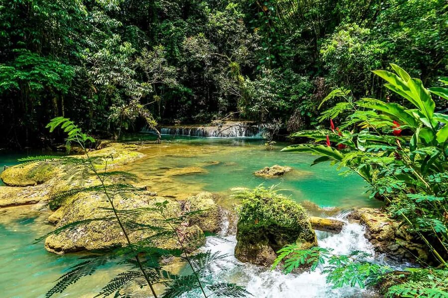 Black River Safari and Ys Falls Tour and Transportation - Practical planning for the day