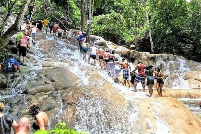 Blue Hole and Dunn's Falls Tour from Falmouth - Is $133 a fair price?