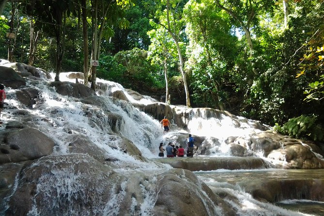 Blue Hole, Dunn's River Falls Luminous Lagoon Excursion From Montego Bay - Blue Hole brings the action