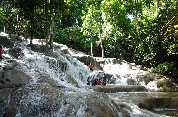 Blue Hole, Dunn's River Falls Luminous Lagoon Excursion From Montego Bay - What the $210.33 price really covers