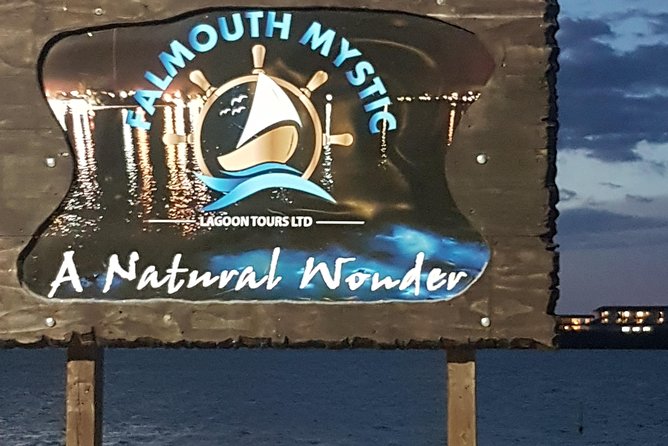 Blue Hole, Dunn's River Falls Luminous Lagoon Excursion From Montego Bay - Who should book this excursion