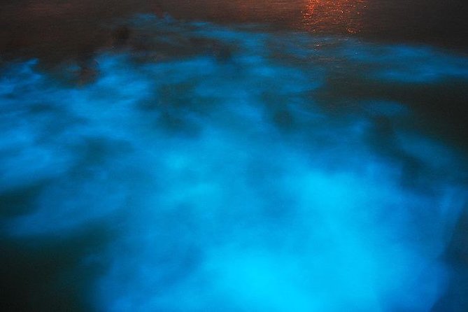 Blue Hole/ Dunn's River Falls & Luminous Lagoon (Glistening water) 3 in 1 combo - Choosing your route at Dunn’s River Falls